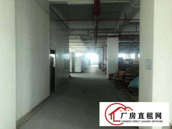 长安新出一楼2600平层高7米重工业厂房出租