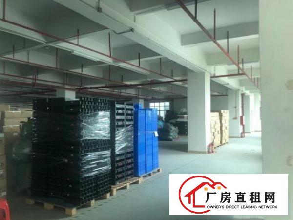 长安新出一楼2600平层高7米重工业厂房出租
