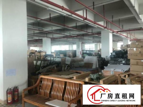  长安新出一楼2600平层高7米重工业厂房出租