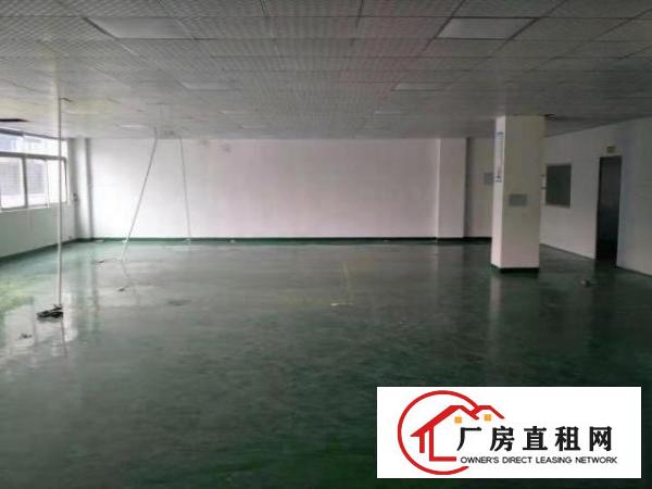  出租长安乌沙新出480平厂房带装修水电齐全