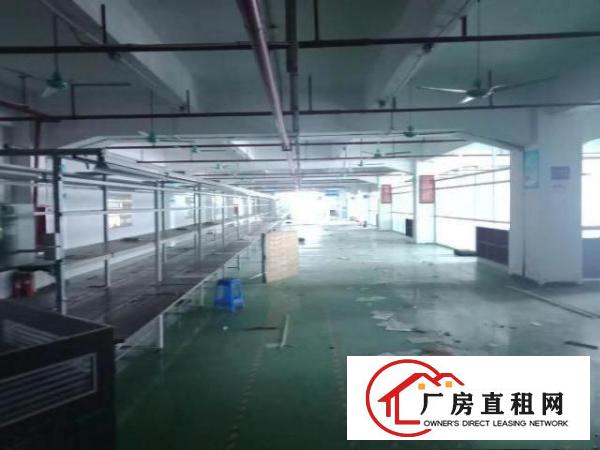  长安宵边贸易类厂房楼上500平厂房出租锦厦乌沙电子