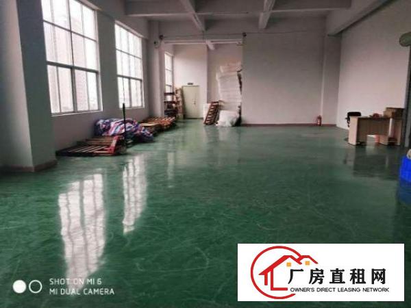  长安沙头振安路旁楼上1000平厂房出租电子厂房