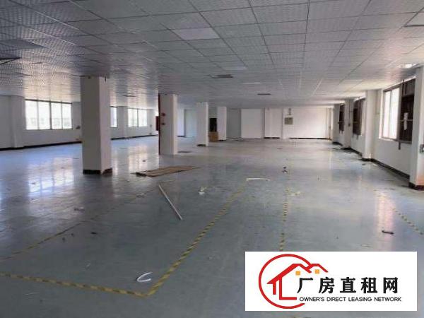  （出租）长安上沙新出500平厂房带装修水电齐全