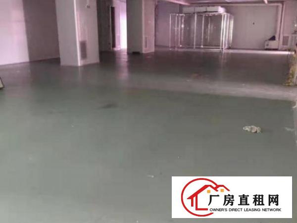  出租长安锦厦新出无尘车间厂房550平精装修水电齐全