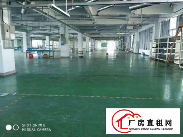  沿江高速长安厦岗原房东红本独院1000平起分租不堵车