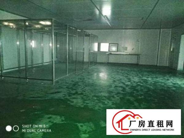  （出租）长安上沙新出350平厂房带装修水电齐全