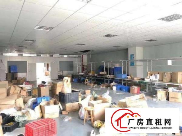  出租)沙头南区新出二楼750平方精装修厂房