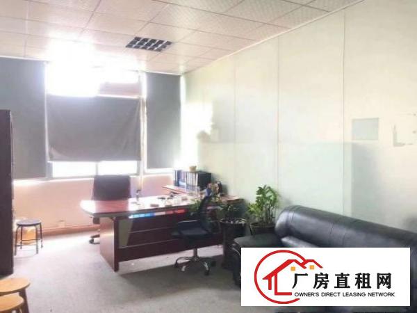  出租)沙头南区新出二楼750平方精装修厂房