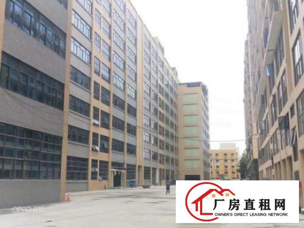  长安沙头全新厂十万平原房东可办环评