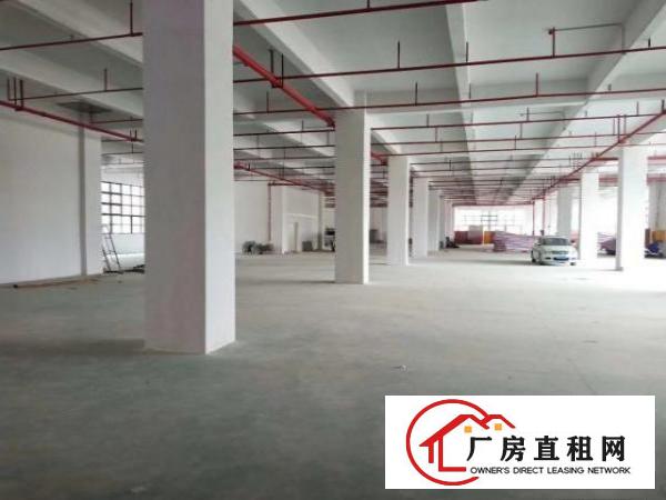  长安沙头全新厂十万平原房东可办环评