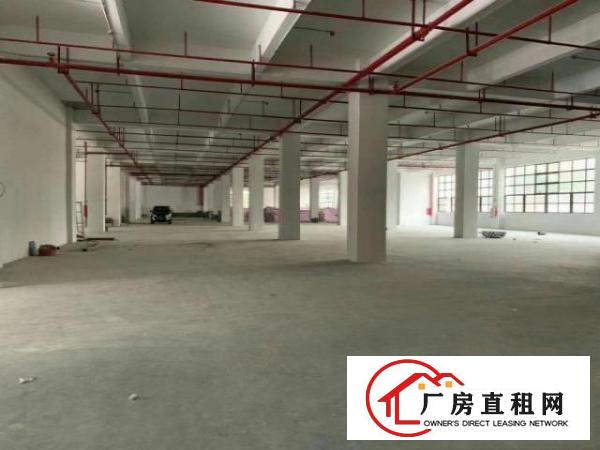  长安沙头全新厂十万平原房东可办环评
