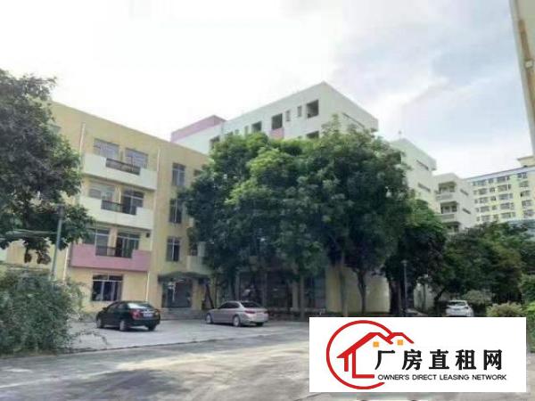  沙头新出厂房1800平方，办公室，地坪漆可分租