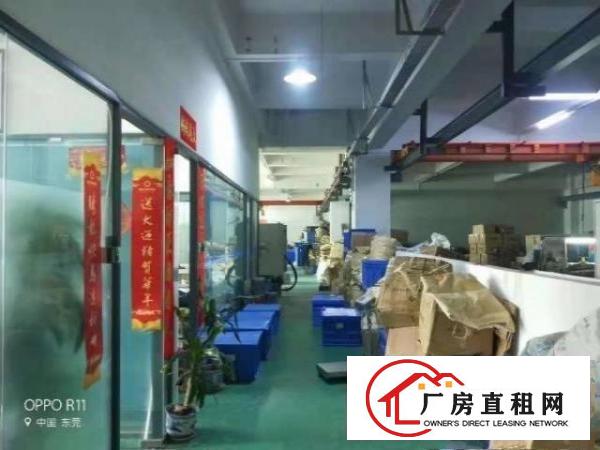  沙头新出厂房1800平方，办公室，地坪漆可分租
