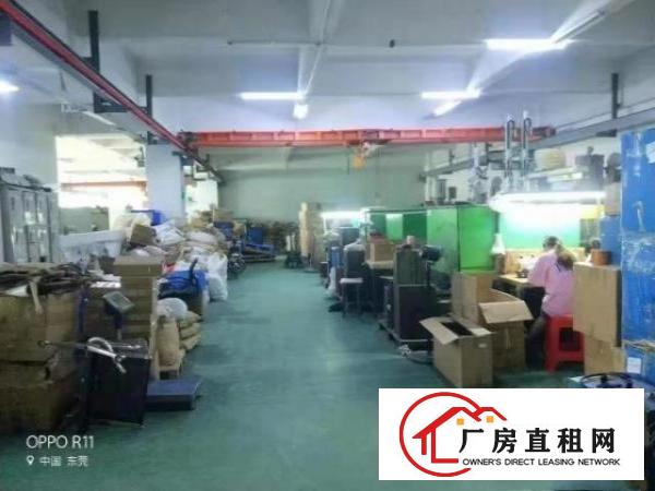  沙头新出厂房1800平方，办公室，地坪漆可分租