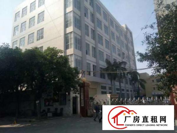  长安沙头市场原房东全新厂房5000平方厂房出租大小可分租