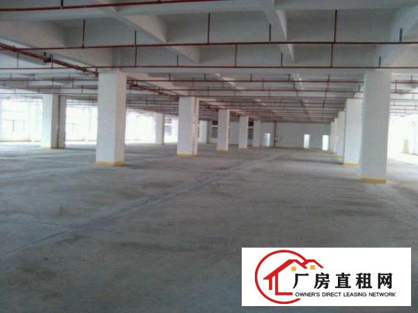  长安沙头市场原房东全新厂房5000平方厂房出租大小可分租