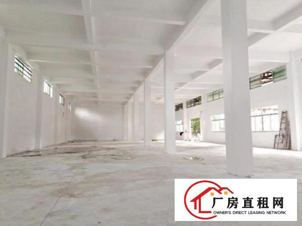  出租长安乌沙单一层标准厂房900方，高度7米，可分分！