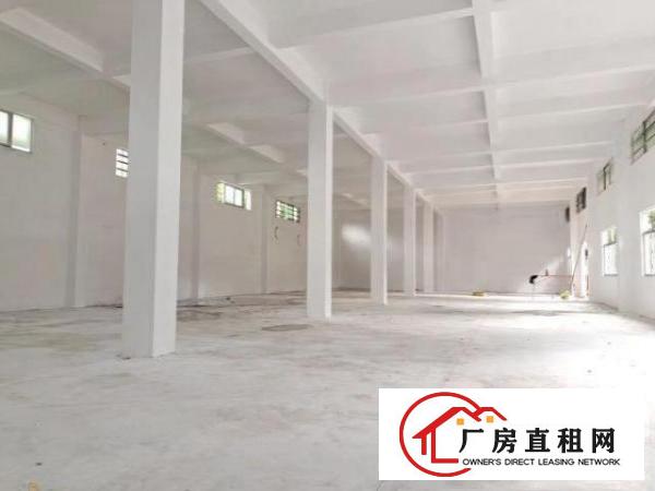  出租长安乌沙单一层标准厂房900方，高度7米，可分分！