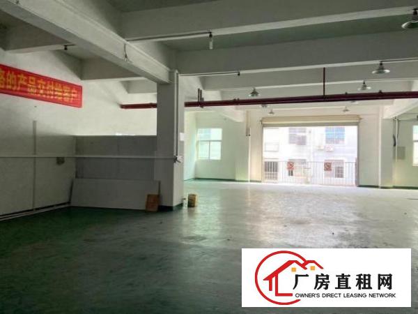  出租长安乌沙单一层标准厂房900方，高度7米，可分分！