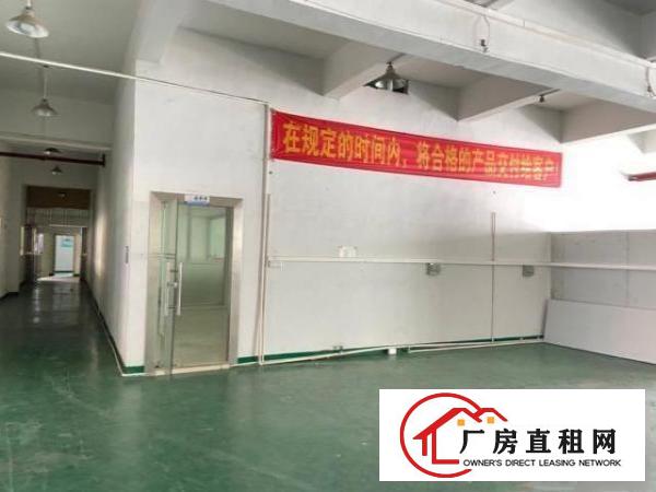  出租长安乌沙单一层标准厂房900方，高度7米，可分分！