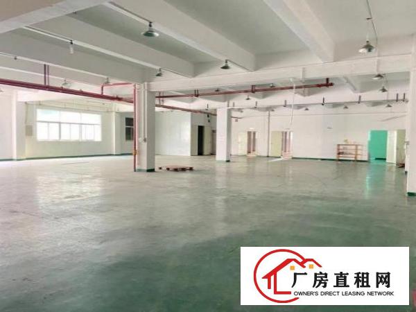  出租长安乌沙单一层标准厂房900方，高度7米，可分分！