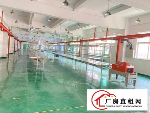  出租长安乌沙单一层标准厂房900方，高度7米，可分分！
