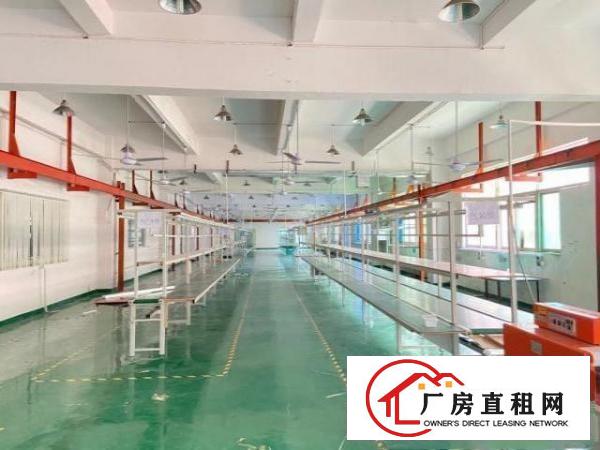 出租长安乌沙单一层标准厂房900方，高度7米，可分分！