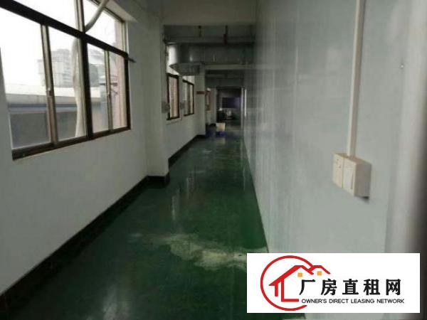  长安镇无尘车间楼上1050平方出租