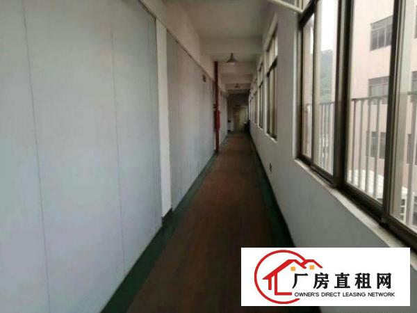  长安镇无尘车间楼上1050平方出租