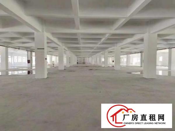  长安新安大桥6000平方，大小可分租。