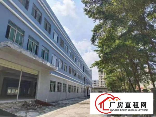  长安新安大桥6000平方，大小可分租。