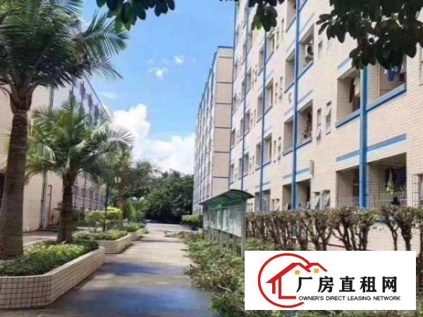  深圳坪山新出可以做学校的厂房价钱实惠