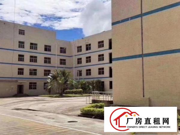  深圳坪山新出可以做学校的厂房价钱实惠