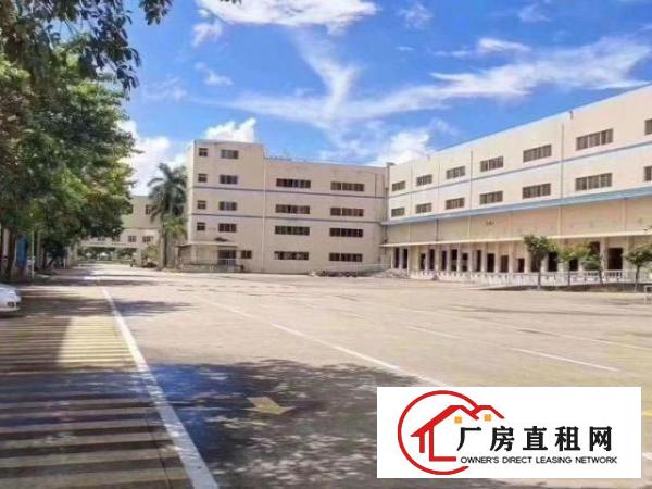  深圳坪山新出可以做学校的厂房价钱实惠