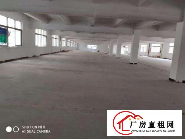  长安乌沙重工业厂房2000平四面透光可分租