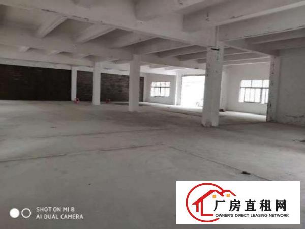  长安乌沙重工业厂房2000平四面透光可分租