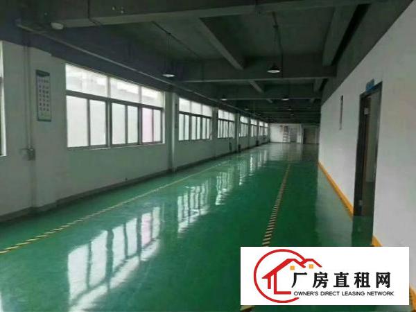  长安厦边新出原房东厂房480平豪华装修全新地平漆