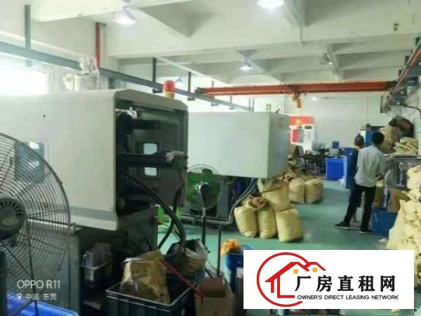  （出租)长安乌沙新出豪华装修厂房1200平方水电齐全
