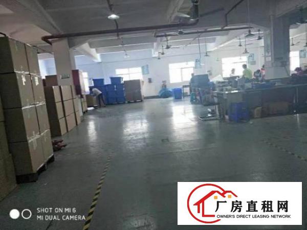  长安涌头霄边振安路500平厂房出租空地大形象好