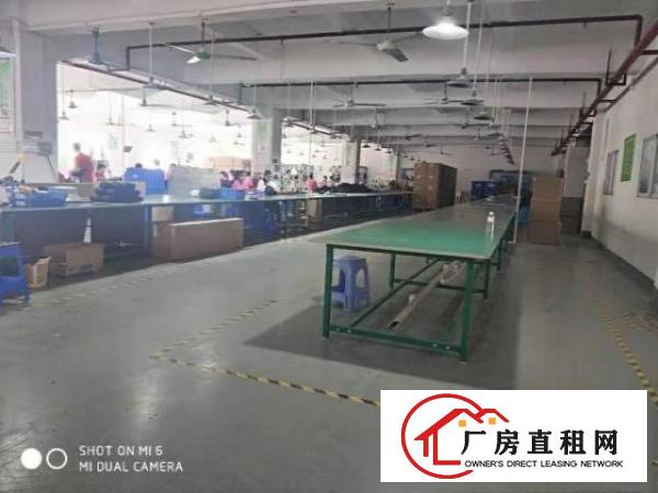  长安涌头霄边振安路500平厂房出租空地大形象好