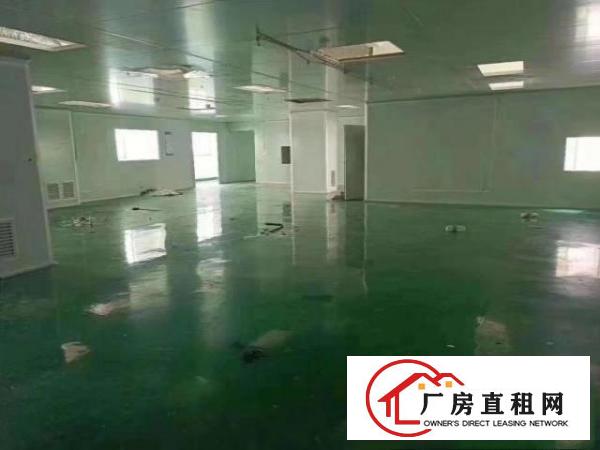  （出租）长安乌沙新出600平无尘车间厂房水电齐全