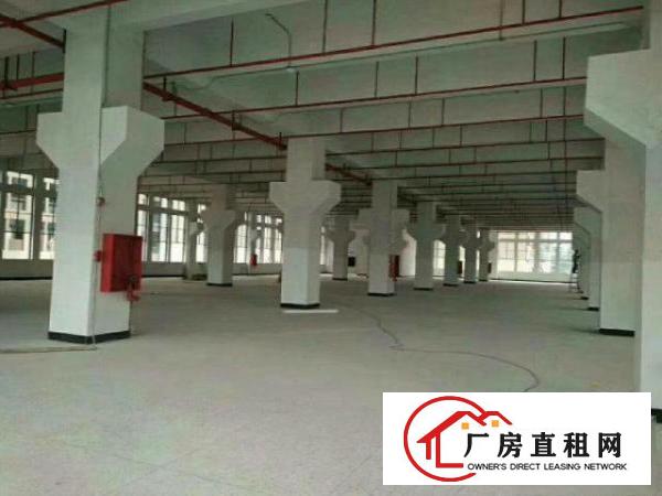  (出租）新建厂房，带消防喷淋，工业用地可办环评500起分