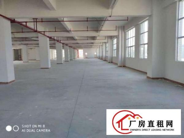  (出租）新建厂房，带消防喷淋，工业用地可办环评500起分