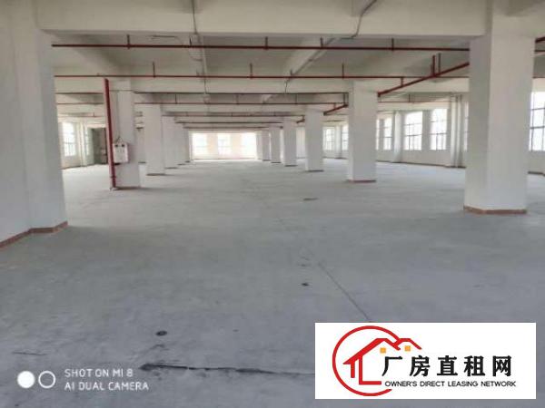  (出租）新建厂房，带消防喷淋，工业用地可办环评500起分
