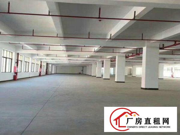  (出租）新建厂房，带消防喷淋，工业用地可办环评500起分