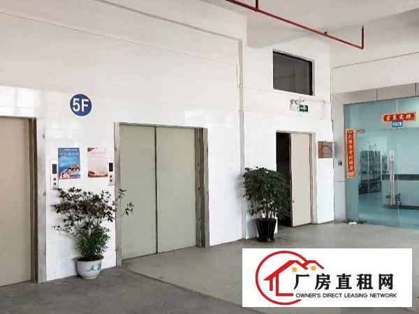  业主直租长安镇涌头带装修厂房三楼500平拎包生产