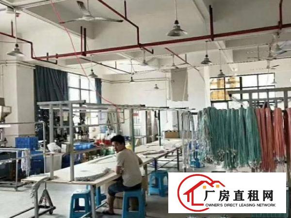  业主直租长安镇涌头带装修厂房三楼500平拎包生产