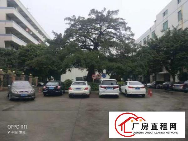  长安涌头一楼1200平厂房出租可整租可分租