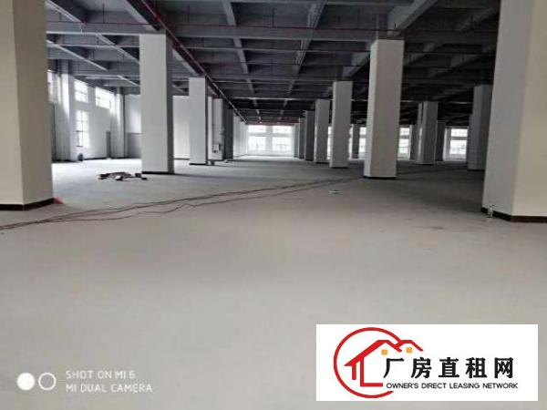  长安涌头一楼1200平厂房出租可整租可分租
