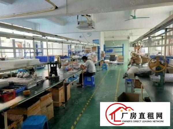  长安沙头南区精装修楼上500平厂房出租交通便利